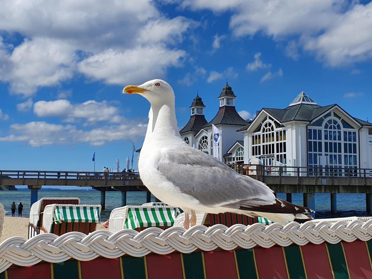 Das Appartement Inselliebe Ruegen Inkl Sauna Und 3H Taeglich Eintritt Ahoi Schwimmbad ゼリン エクステリア 写真